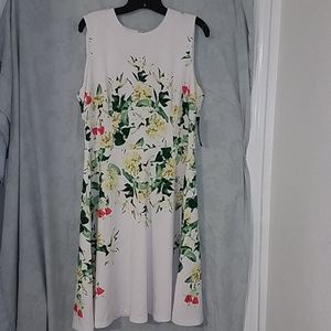 New York & Company (NY&C) size XL dress